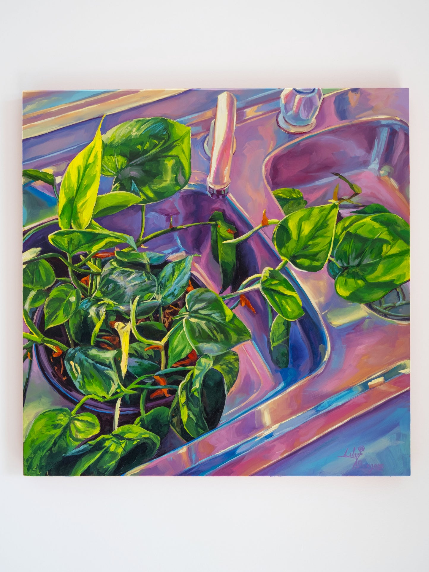 Plant Magic