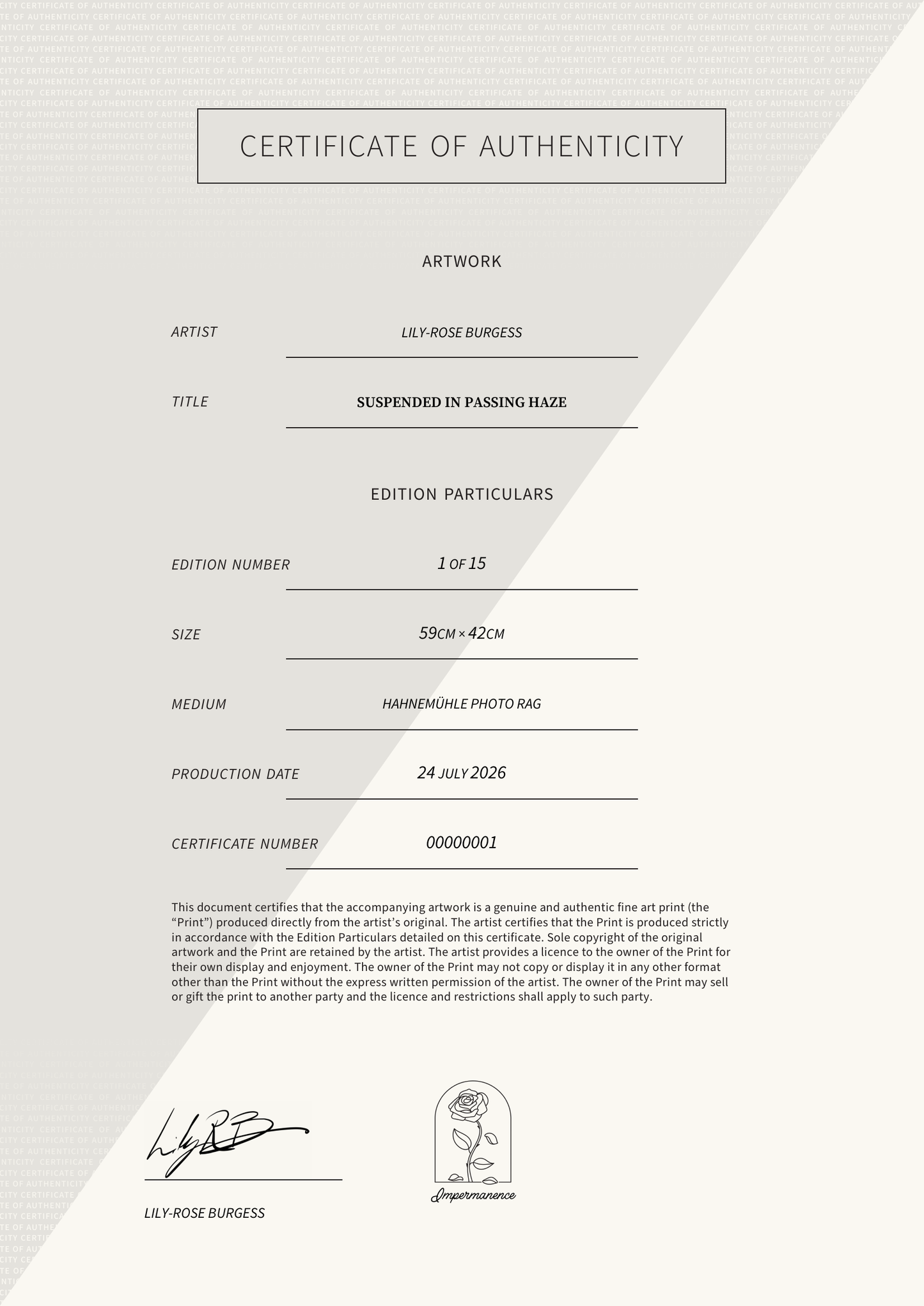 Suspended in Passing Haze — Certificate of Authenticity